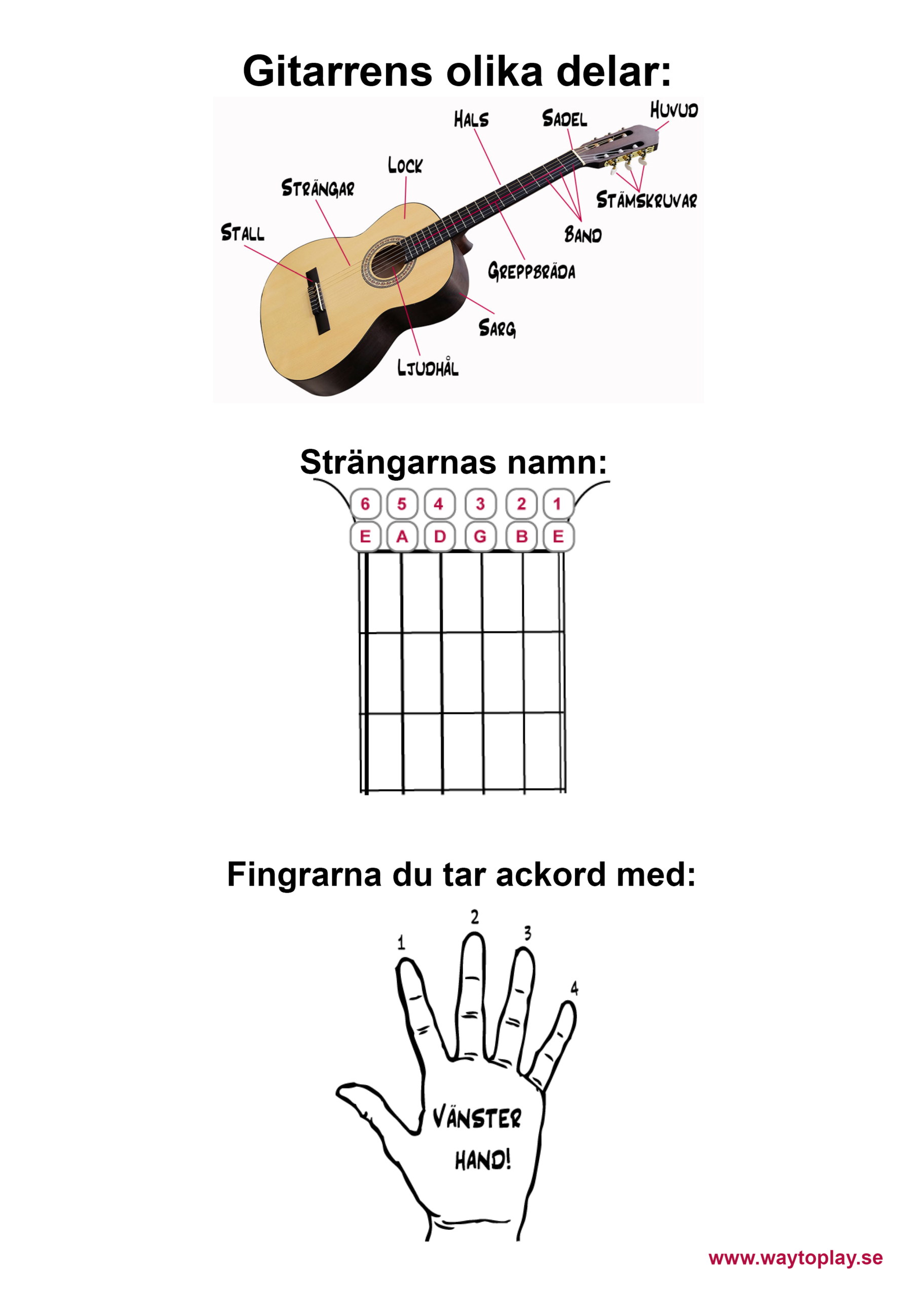 fakta för nybörjare på gitarr